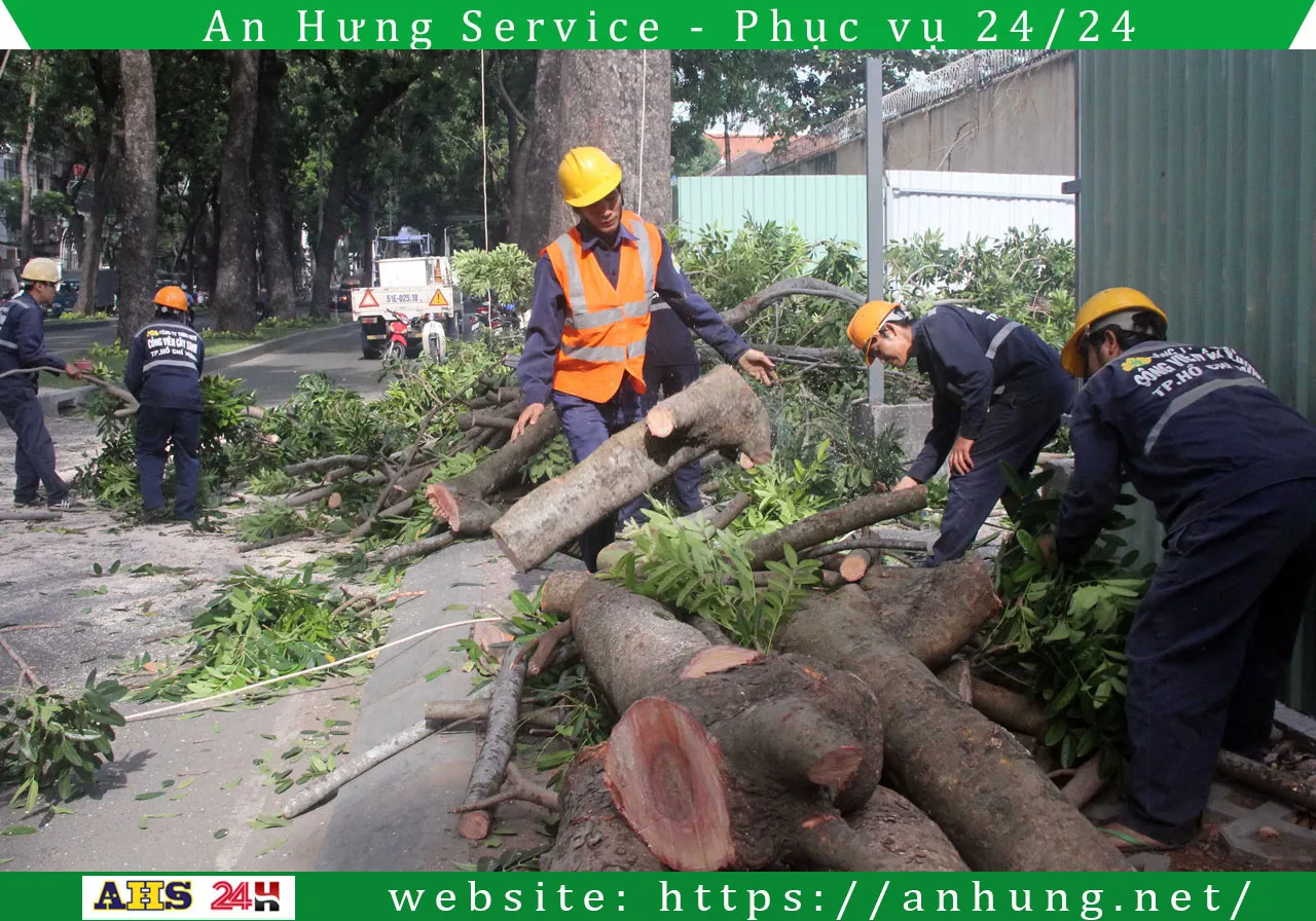 Read more about the article Dịch vụ chặt cây