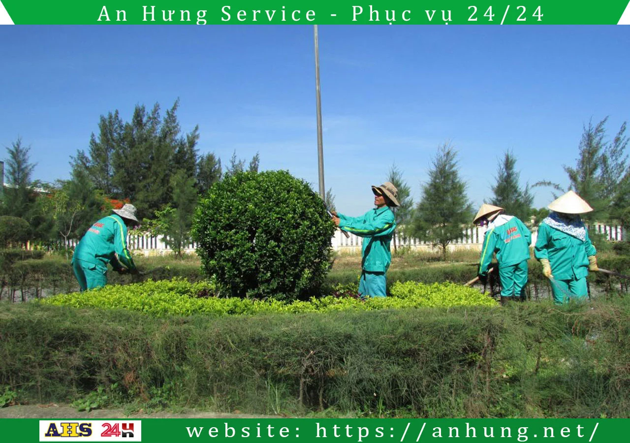 Read more about the article Chăm sóc cây xanh